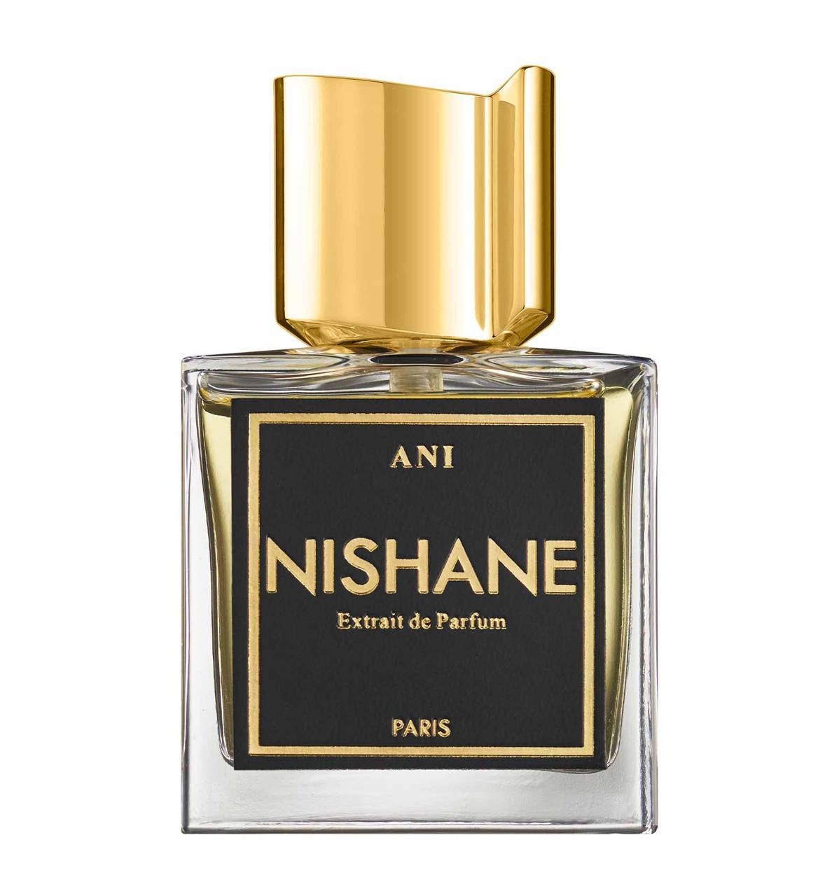 ANI EXTRAIT DE PARFUM 100 ML