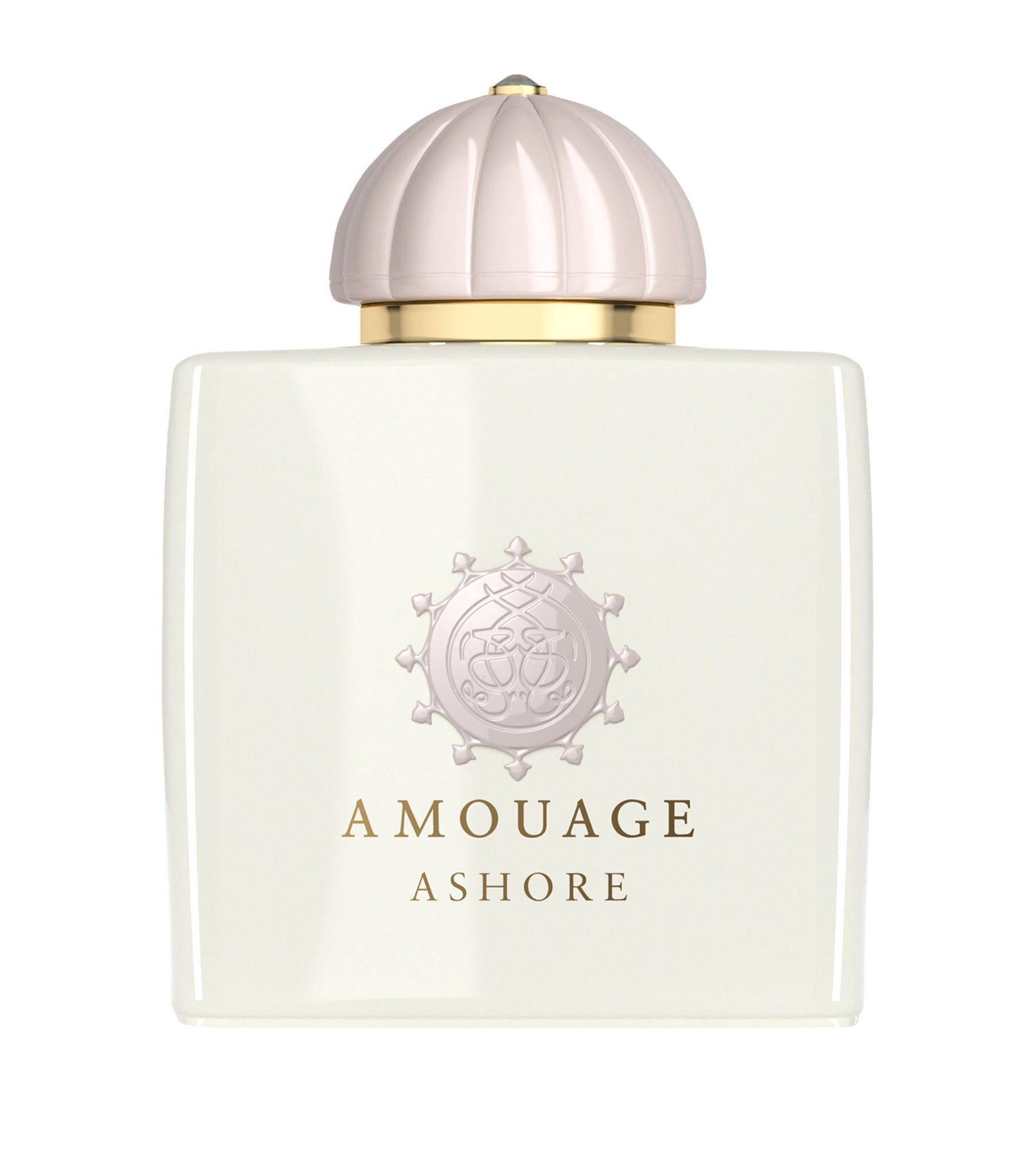 ASHORE EDP 100 ML