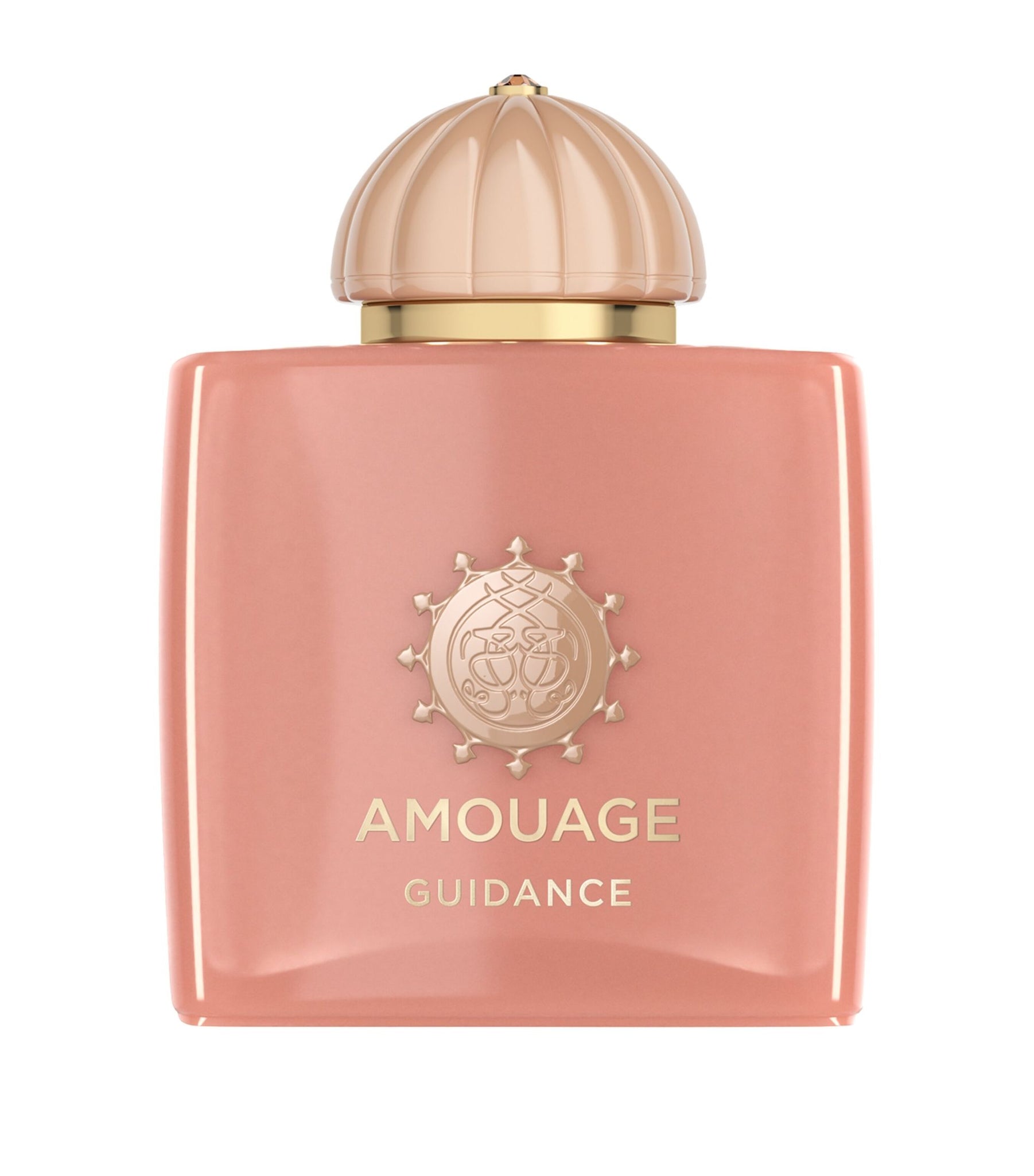 GUIDANCE   EDP 100 ML